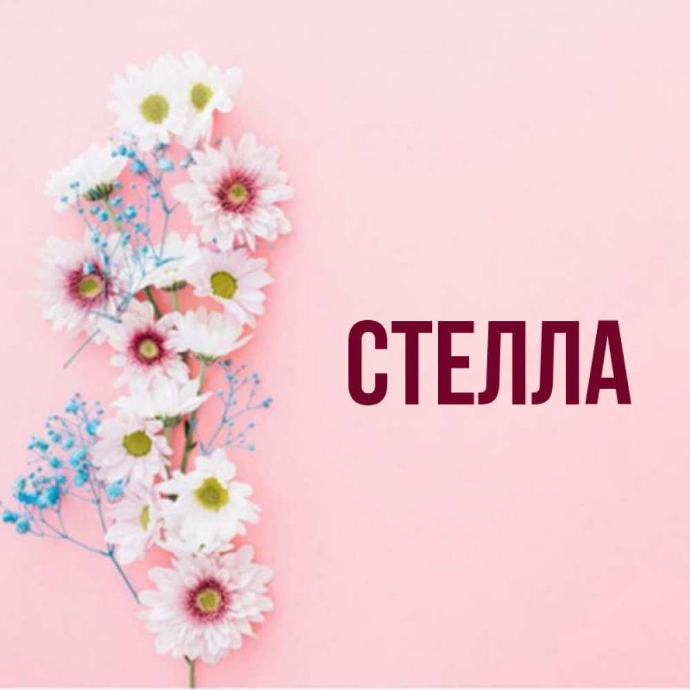 Картинка  с именем , Стелла