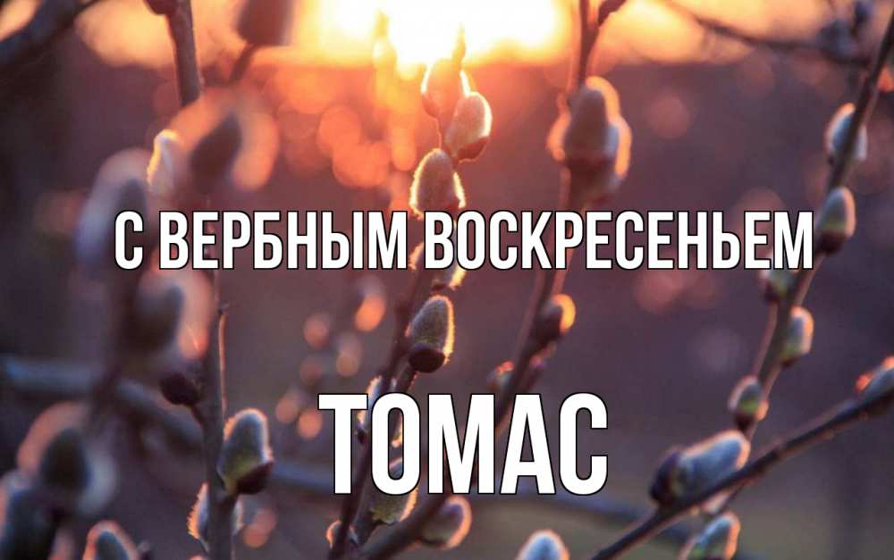 Открытка на каждый день с именем, Томас С вербным воскресеньем верба Прикольная открытка с пожеланием онлайн скачать бесплатно 