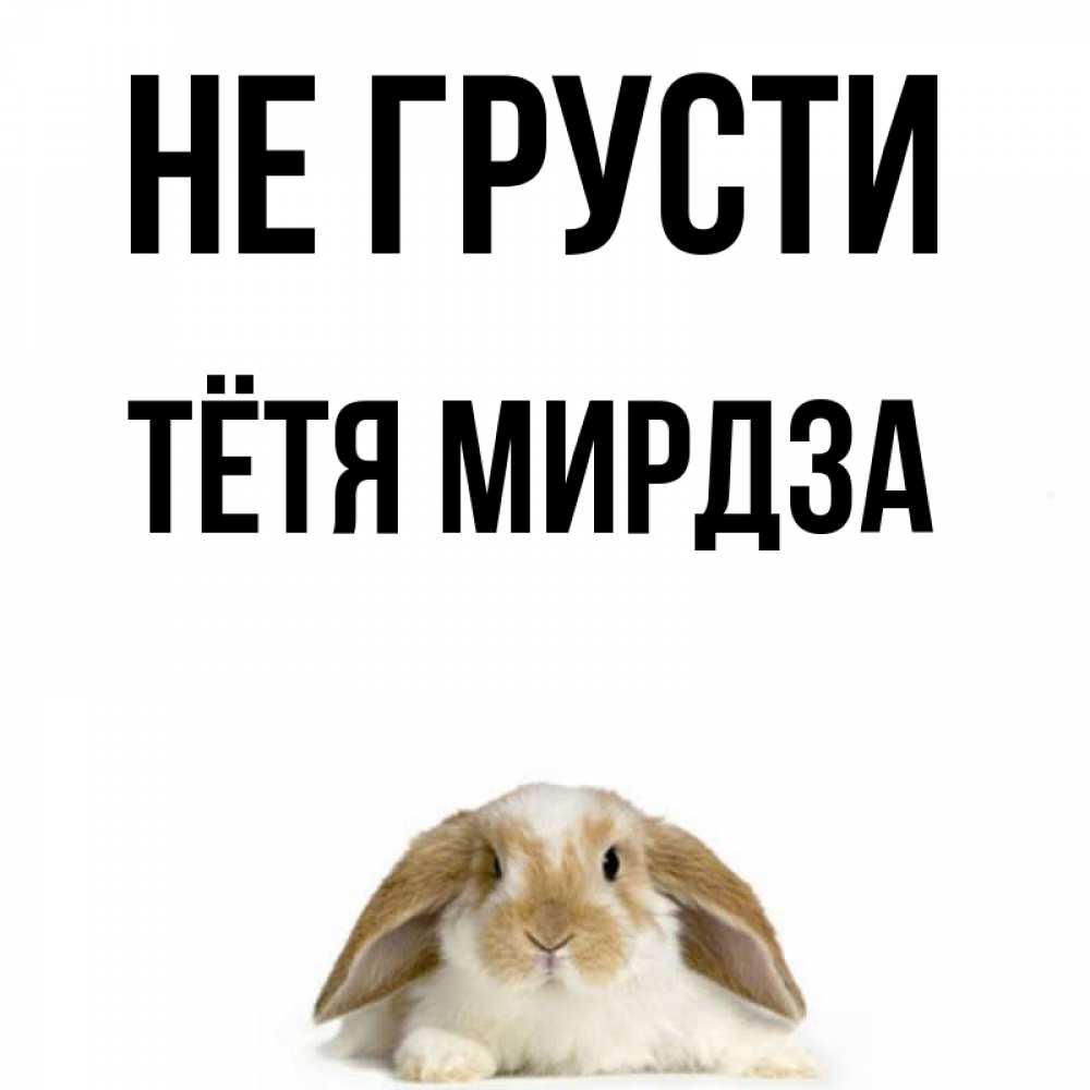 Открытка на каждый день с именем, Тётя-Мирдза Не грусти коричнево белый заяц с большими ушками Прикольная открытка с пожеланием онлайн скачать бесплатно 
