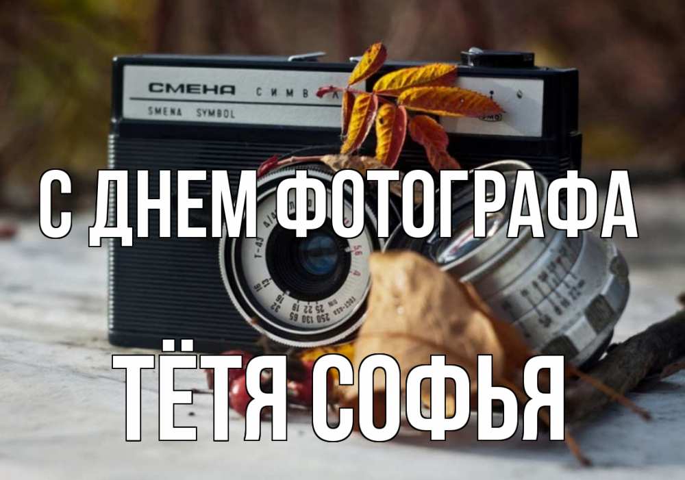 Открытка на каждый день с именем, Тётя-Софья С днем фотографа с днем фотографа Прикольная открытка с пожеланием онлайн скачать бесплатно 
