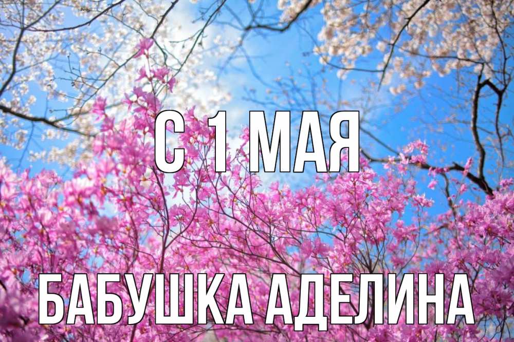 Открытка на каждый день с именем, Бабушка-Аделина С 1 мая С 1 мая Прикольная открытка с пожеланием онлайн скачать бесплатно 