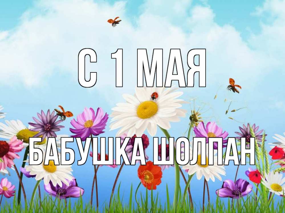 Открытка на каждый день с именем, Бабушка-Шолпан С 1 мая С 1 мая Прикольная открытка с пожеланием онлайн скачать бесплатно 