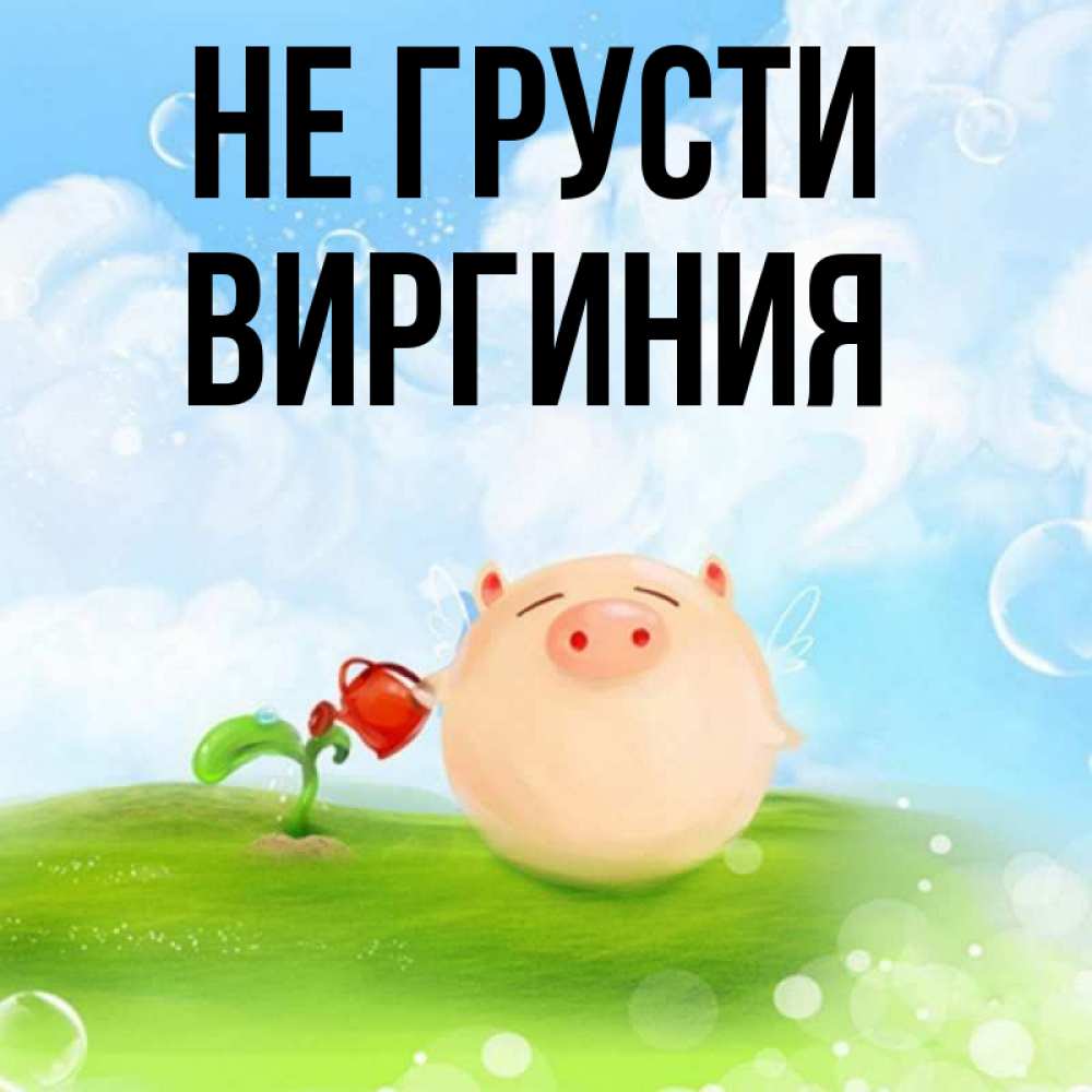 Открытка на каждый день с именем, Виргиния Не грусти поливает цветок порося Прикольная открытка с пожеланием онлайн скачать бесплатно 