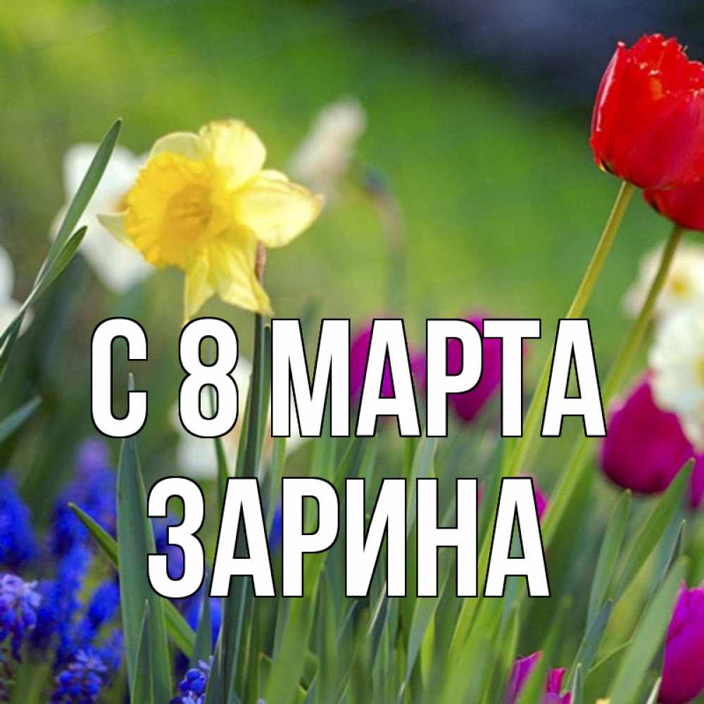 Открытка на каждый день с именем, Зарина С 8 МАРТА международный женский день 3 Прикольная открытка с пожеланием онлайн скачать бесплатно 
