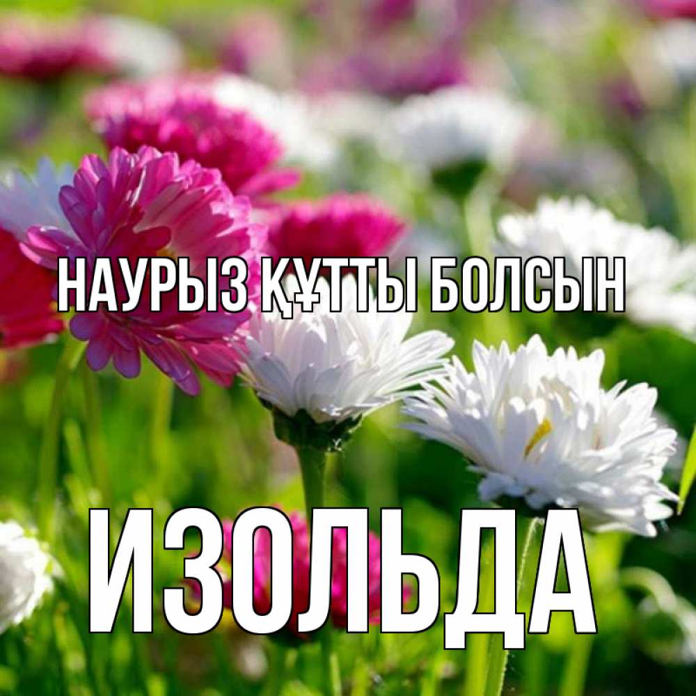 Открытка на каждый день с именем, Изольда Наурыз құтты болсын наурыз Прикольная открытка с пожеланием онлайн скачать бесплатно 