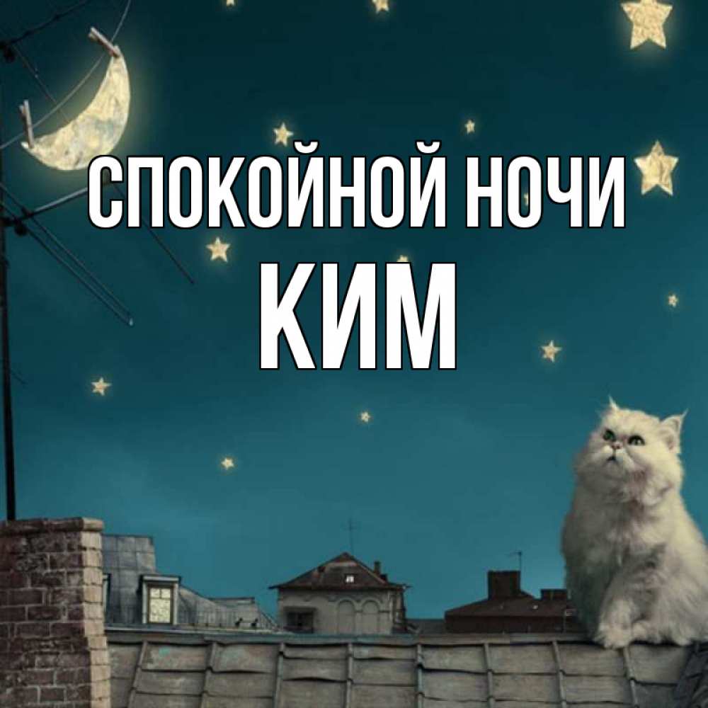 Открытка на каждый день с именем, Ким Спокойной ночи белый кот сидит на крыше Прикольная открытка с пожеланием онлайн скачать бесплатно 