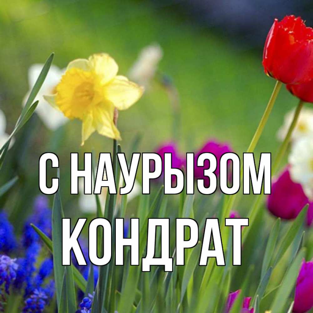 Открытка на каждый день с именем, Кондрат С наурызом праздник весны наурыз 3 Прикольная открытка с пожеланием онлайн скачать бесплатно 