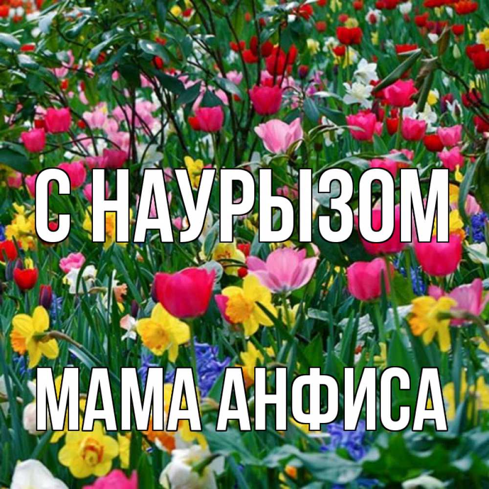 Открытка на каждый день с именем, Мама-Анфиса С наурызом с наурызом праздником весны поздравления для женщины Прикольная открытка с пожеланием онлайн скачать бесплатно 