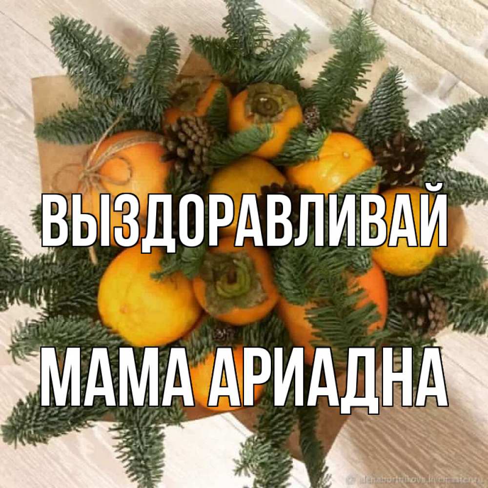 Открытка на каждый день с именем, Мама-Ариадна Выздоравливай апельсины и хурьма Прикольная открытка с пожеланием онлайн скачать бесплатно 