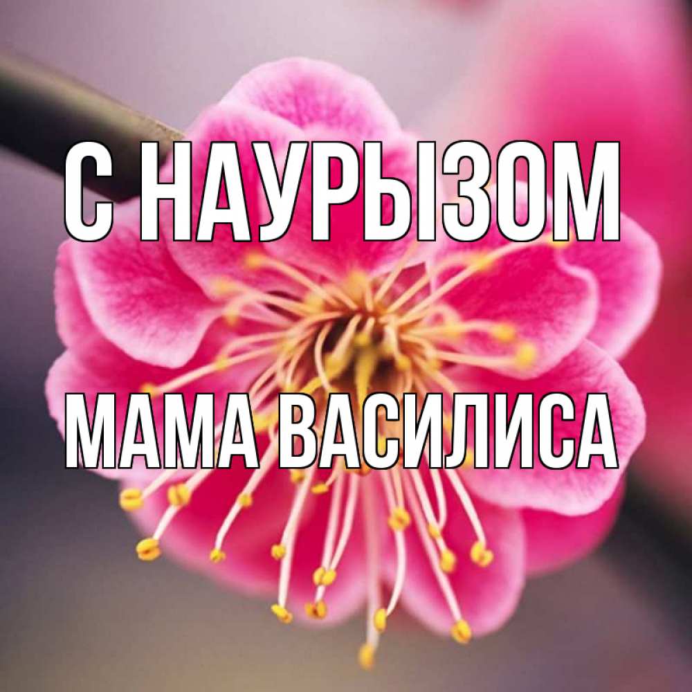 Открытка на каждый день с именем, Мама-Василиса С наурызом цветы Прикольная открытка с пожеланием онлайн скачать бесплатно 
