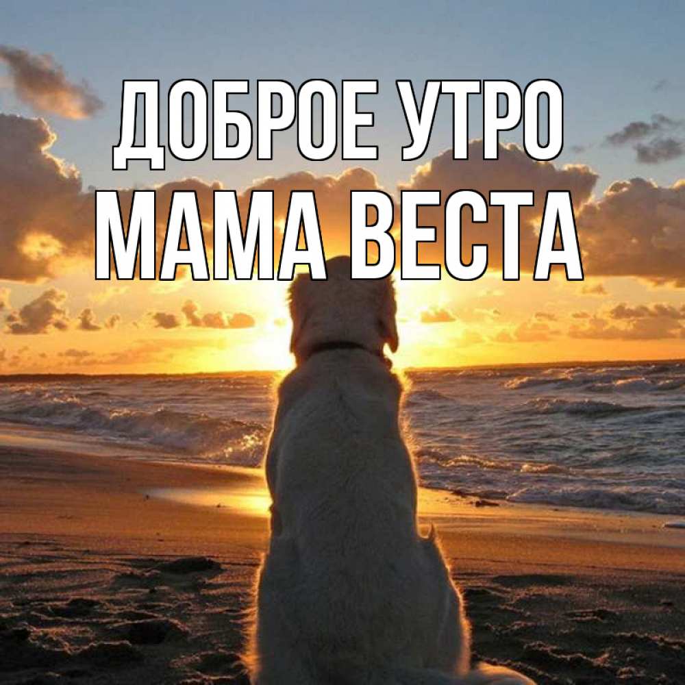 Открытка на каждый день с именем, Мама-Веста Доброе утро восход солнца Прикольная открытка с пожеланием онлайн скачать бесплатно 