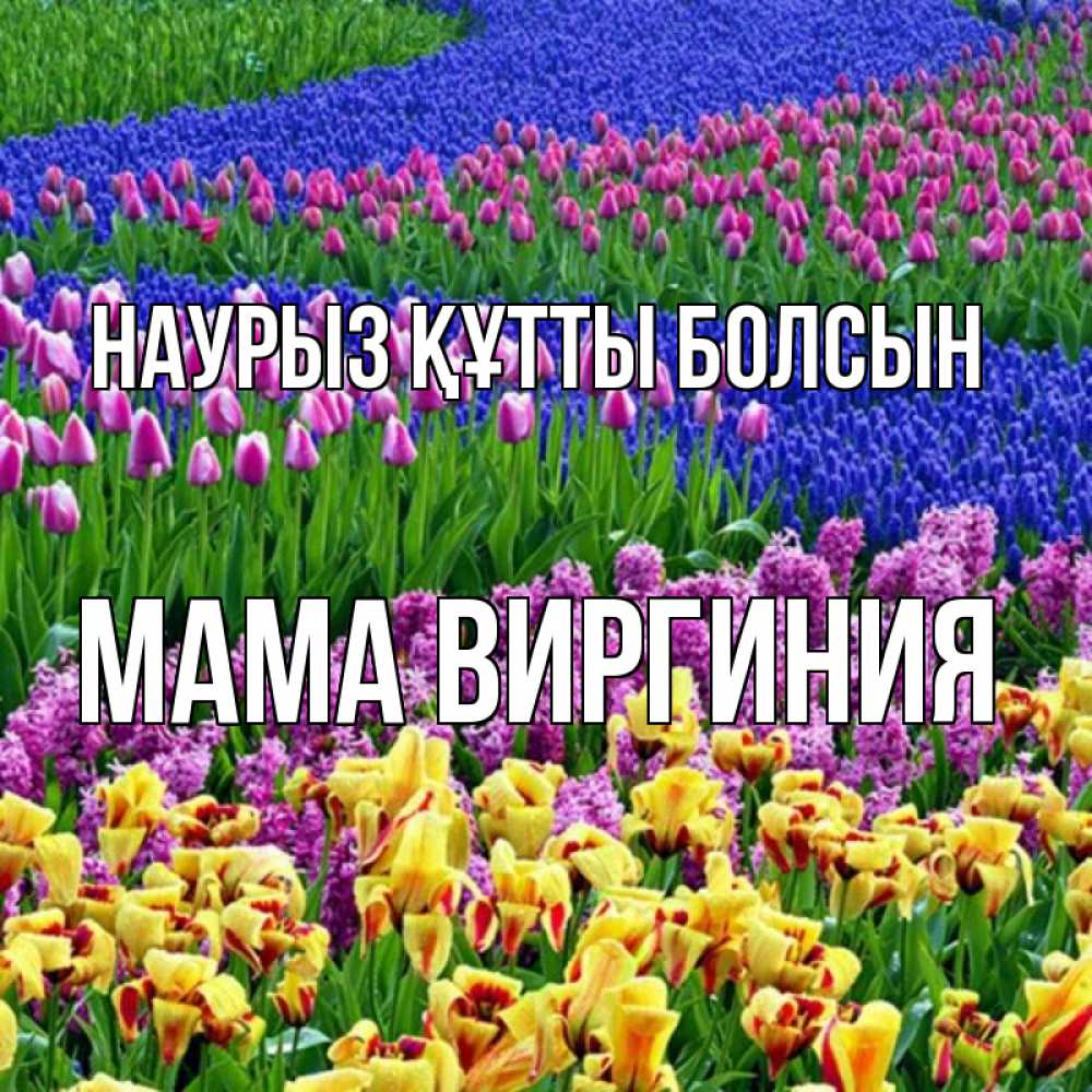 Открытка на каждый день с именем, Мама-Виргиния Наурыз құтты болсын цветы Прикольная открытка с пожеланием онлайн скачать бесплатно 