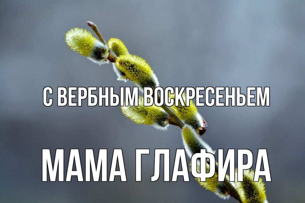 Открытка на каждый день с именем, Мама-Глафира С вербным воскресеньем верба Прикольная открытка с пожеланием онлайн скачать бесплатно 