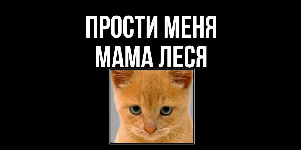 Открытка на каждый день с именем, Мама-Леся Прости меня рыжий грустный кот просит прощения Прикольная открытка с пожеланием онлайн скачать бесплатно 