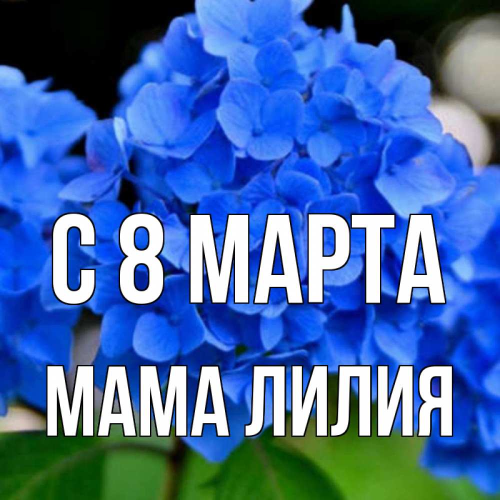 Открытка на каждый день с именем, Мама-Лилия С 8 МАРТА синие цветы Прикольная открытка с пожеланием онлайн скачать бесплатно 