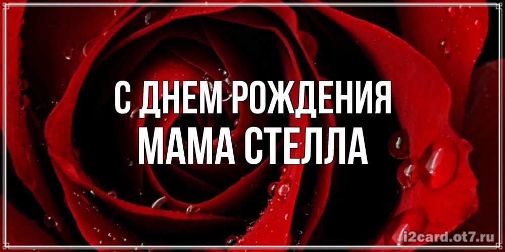 Открытка на каждый день с именем, Мама-Стелла С днем рождения крупная бордовая роза Прикольная открытка с пожеланием онлайн скачать бесплатно 