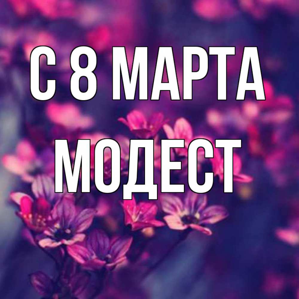 Открытка на каждый день с именем, Модест С 8 марта небольшие цветы 1 Прикольная открытка с пожеланием онлайн скачать бесплатно 