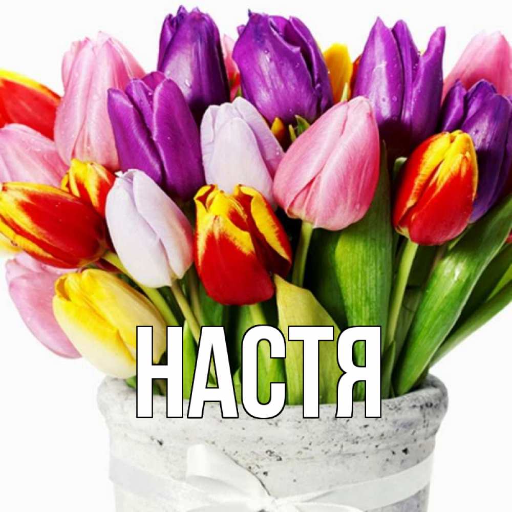 Открытка на каждый день с именем, Настя Главная букет Прикольная открытка с пожеланием онлайн скачать бесплатно 