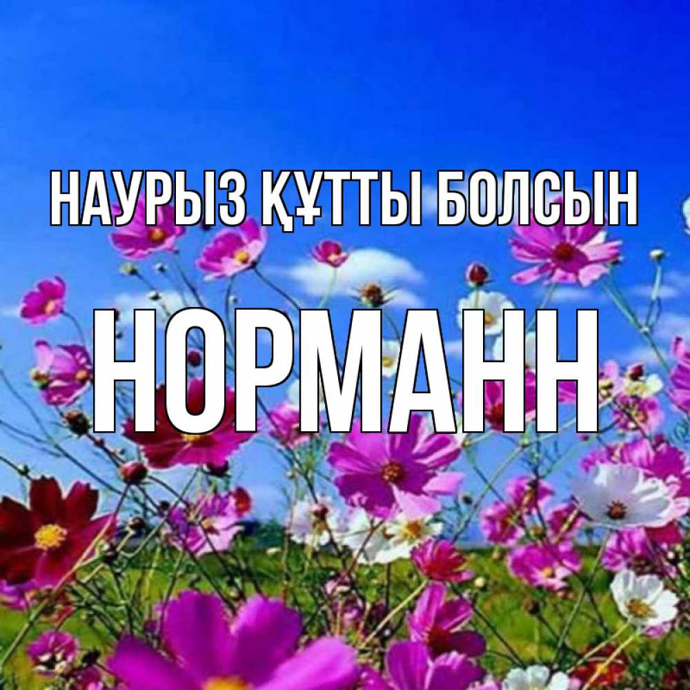 Открытка на каждый день с именем, Норманн Наурыз құтты болсын цветы Прикольная открытка с пожеланием онлайн скачать бесплатно 