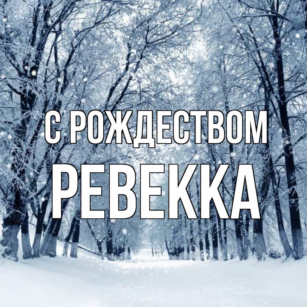 Открытка на каждый день с именем, Ревекка С рождеством снег, лес, парк Прикольная открытка с пожеланием онлайн скачать бесплатно 