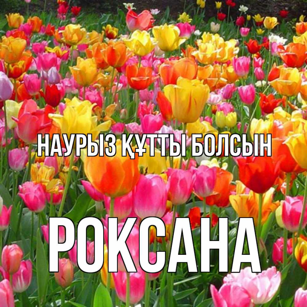 Открытка на каждый день с именем, Роксана Наурыз құтты болсын на наурыз  ура ура Прикольная открытка с пожеланием онлайн скачать бесплатно 