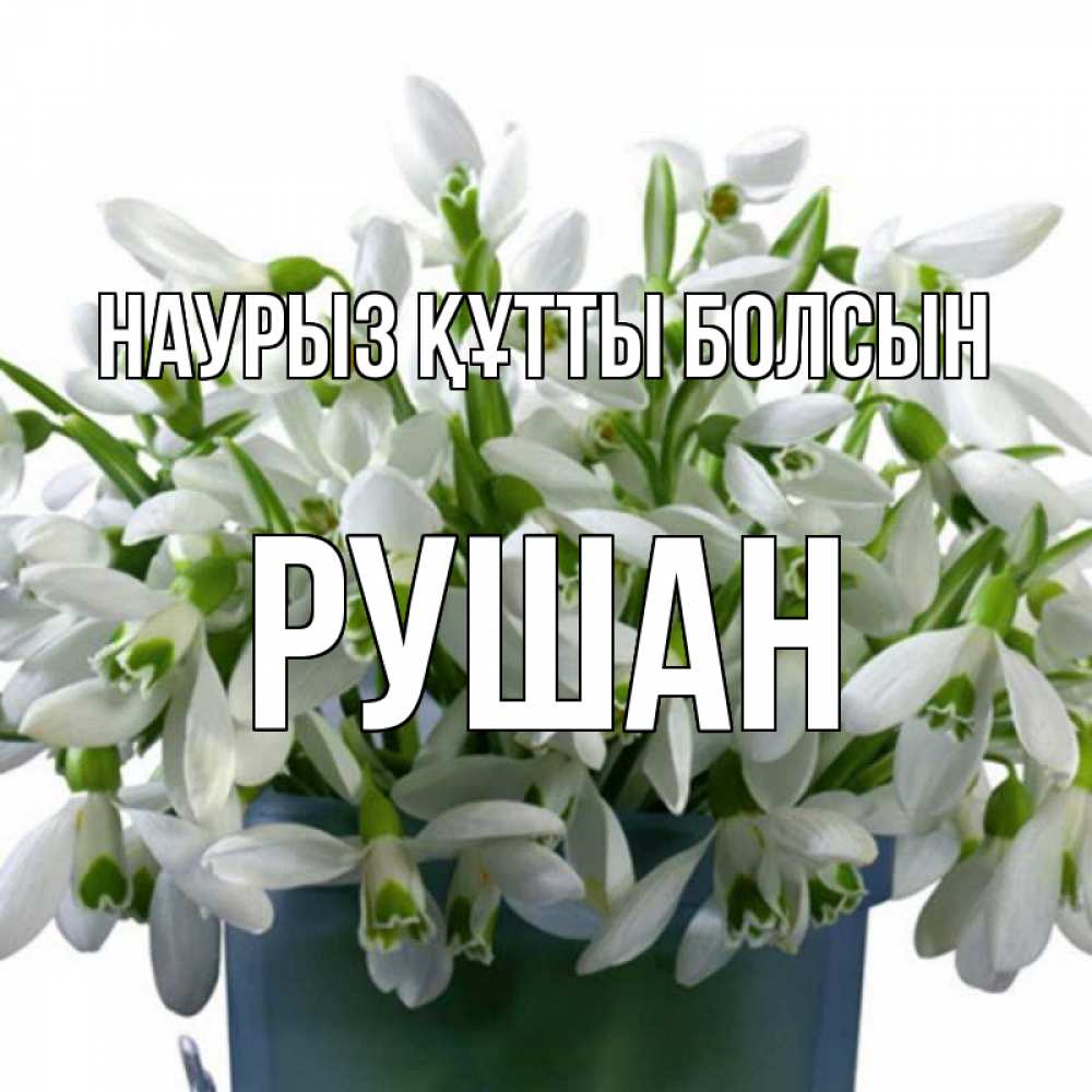 Открытка на каждый день с именем, Рушан Наурыз құтты болсын цветы к наурызу Прикольная открытка с пожеланием онлайн скачать бесплатно 