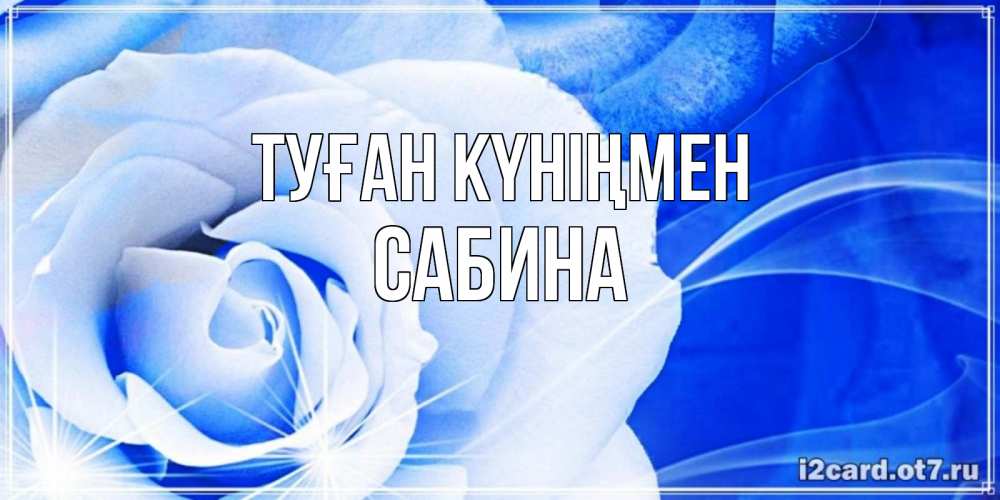Открытка на каждый день с именем, Сабина Туған күніңмен белая роза на голубом фоне Прикольная открытка с пожеланием онлайн скачать бесплатно 