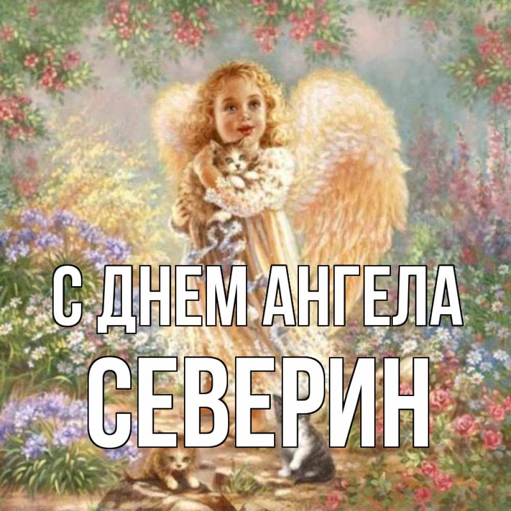 Открытка на каждый день с именем, Северин С днем ангела держит котенка Прикольная открытка с пожеланием онлайн скачать бесплатно 
