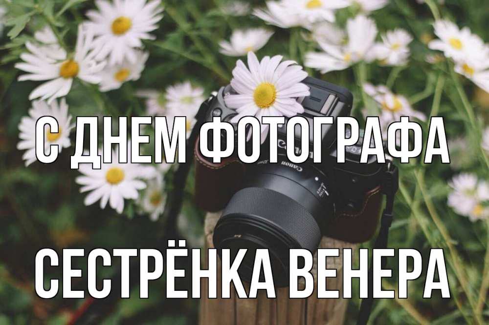 Открытка на каждый день с именем, Сестрёнка-Венера С днем фотографа с днем фотографа Прикольная открытка с пожеланием онлайн скачать бесплатно 