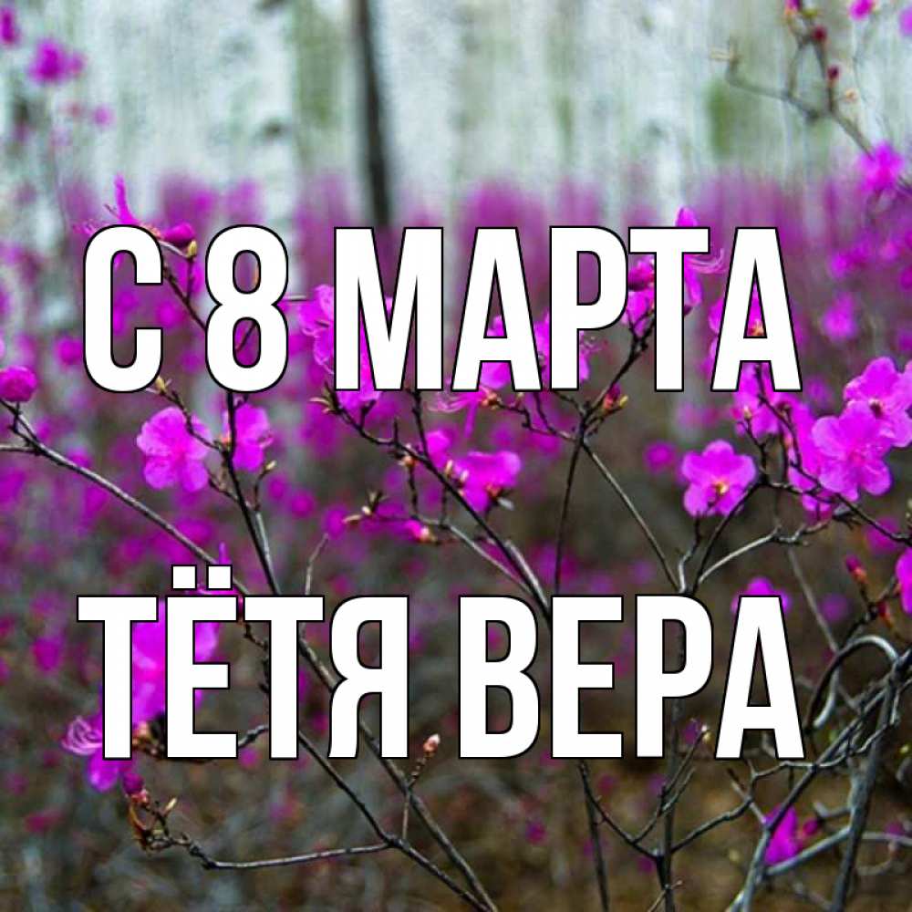 Открытка на каждый день с именем, Тётя-Вера С 8 МАРТА дикие цветы Прикольная открытка с пожеланием онлайн скачать бесплатно 
