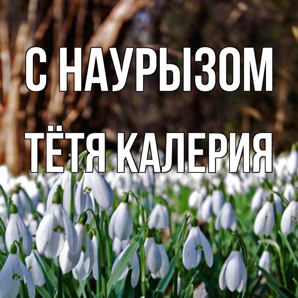 Открытка на каждый день с именем, Тётя-Калерия С наурызом с подснежниками 1 Прикольная открытка с пожеланием онлайн скачать бесплатно 