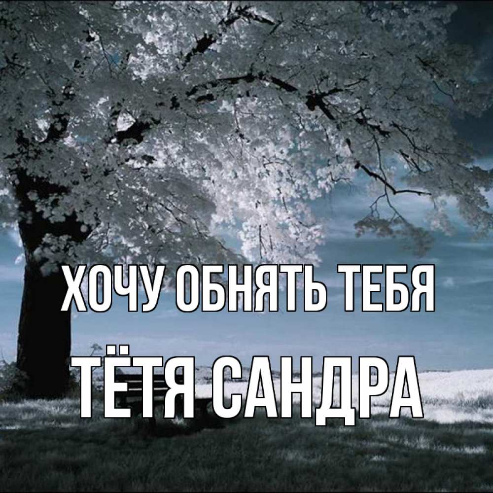 Открытка на каждый день с именем, Тётя-Сандра Хочу обнять тебя дерево Прикольная открытка с пожеланием онлайн скачать бесплатно 