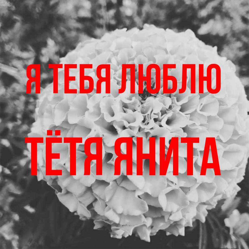 Открытка на каждый день с именем, Тётя-Янита Я тебя люблю подпись Прикольная открытка с пожеланием онлайн скачать бесплатно 