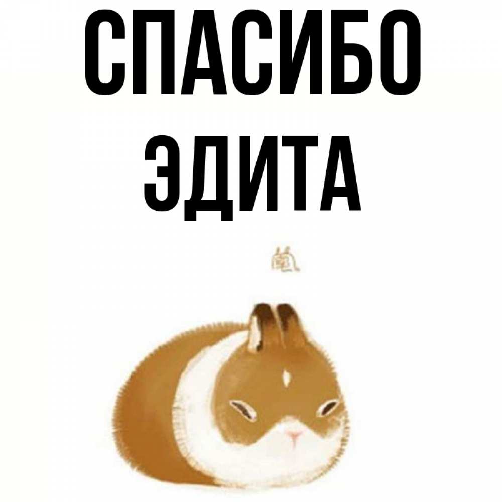 Открытка на каждый день с именем, Эдита Спасибо коричнево белый домашний питомец Прикольная открытка с пожеланием онлайн скачать бесплатно 