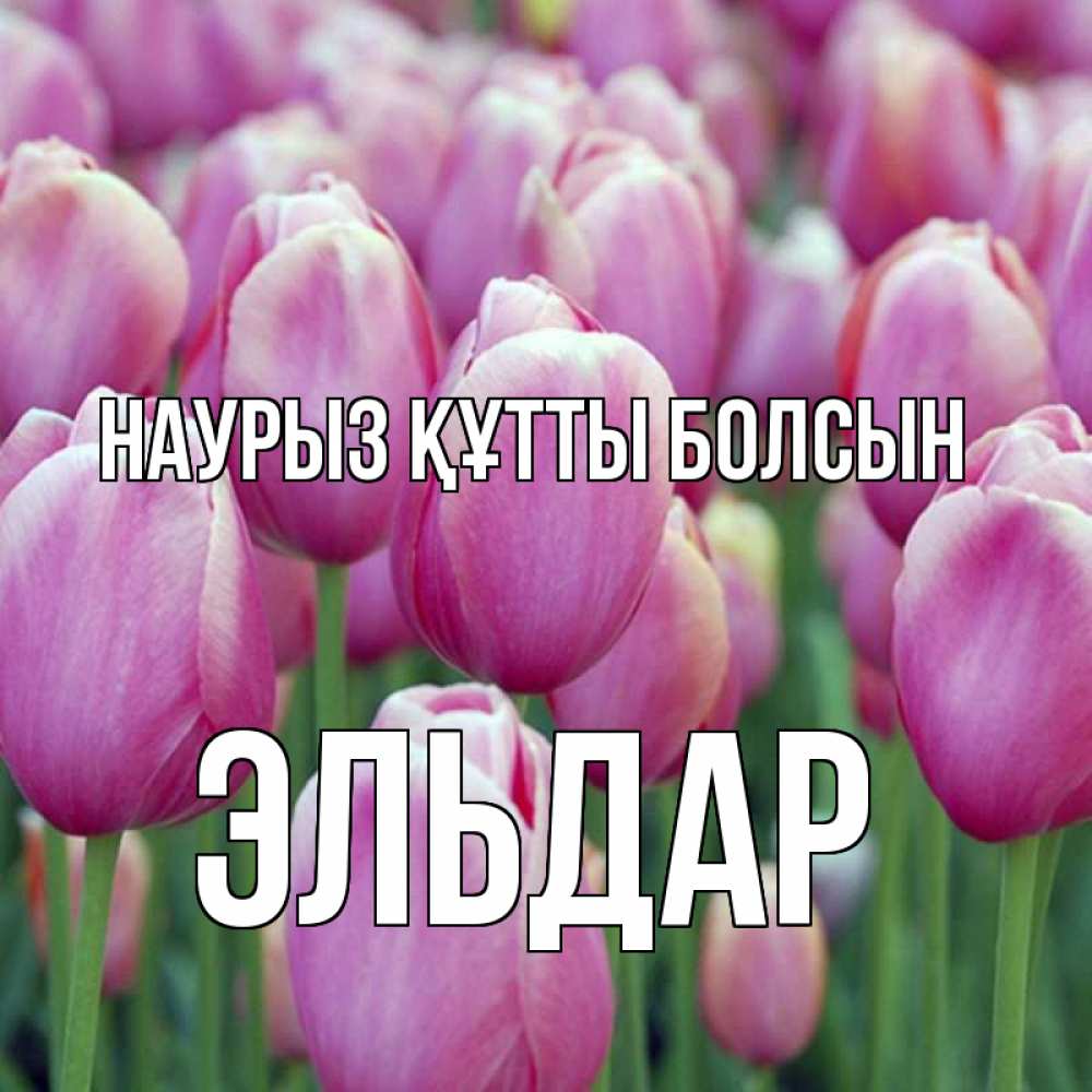 Открытка на каждый день с именем, Эльдар Наурыз құтты болсын на наурыз  день 3 Прикольная открытка с пожеланием онлайн скачать бесплатно 